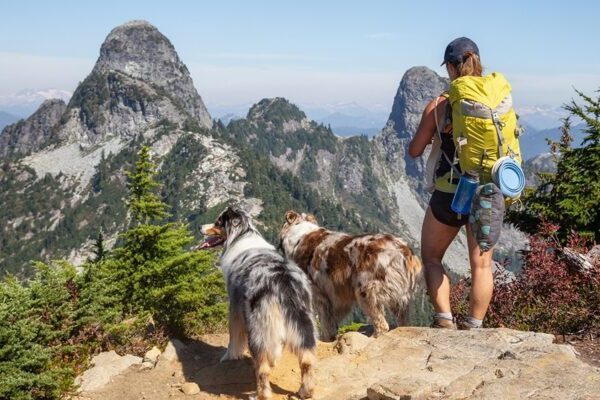 Das perfekte Abenteuer: Wandern mit Hund! Eine unvergessliche Erfahrung für Zwei- und Vierbeiner!