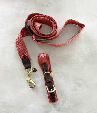 JACQUARD Leine &amp; Halsband Set von Kentucky Dogwear